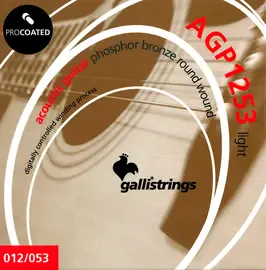 Струны для акустической гитары 12-53 Galli Strings AGP1253