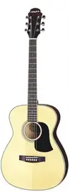 Акустическая гитара Aria AFN-15 N