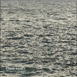 Steve Kilbey - Whispers In The Static [Gray Vinyl]