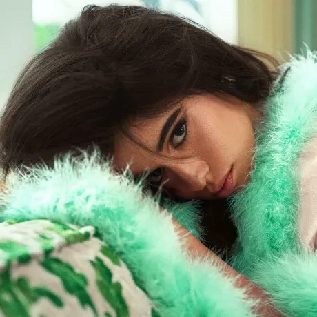 Виниловая пластинка Camila Cabello – Familia