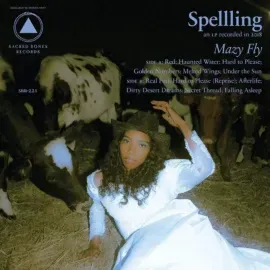 Виниловая пластинка Spellling – Mazy Fly 2019