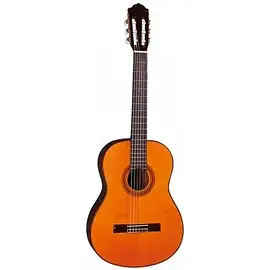 Классическая гитара Naranda CG360S
