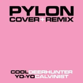 Виниловая пластинка Pylon – Cover + Remix (Релиз 2011)