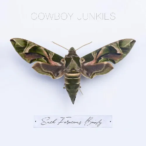 Виниловая пластинка Cowboy Junkies - Such Ferocious Beauty [New Vinyl LP] Clear Vinyl, Green, Ltd Ed