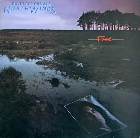 DAVID COVERDALE - Northwinds (LP , Used)