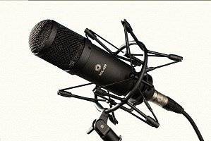 Студийный микрофон Октава МК-319-Ч-ФДМ1-02