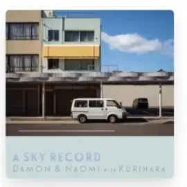 Виниловая пластинка Damon & Naomi - A Sky Record [New Vinyl LP]