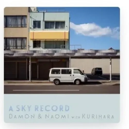 Виниловая пластинка Damon & Naomi - A Sky Record [New Vinyl LP]