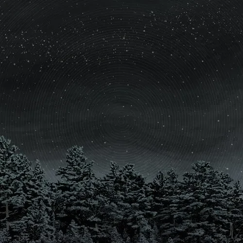 Виниловая пластинка The Besnard Lakes - The Besnard Lakes Are The Prayers For The Death of Fame [New