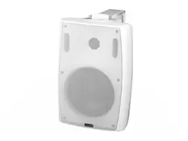 Громкоговоритель настенный TADS DS-581K-WHITE 50Вт