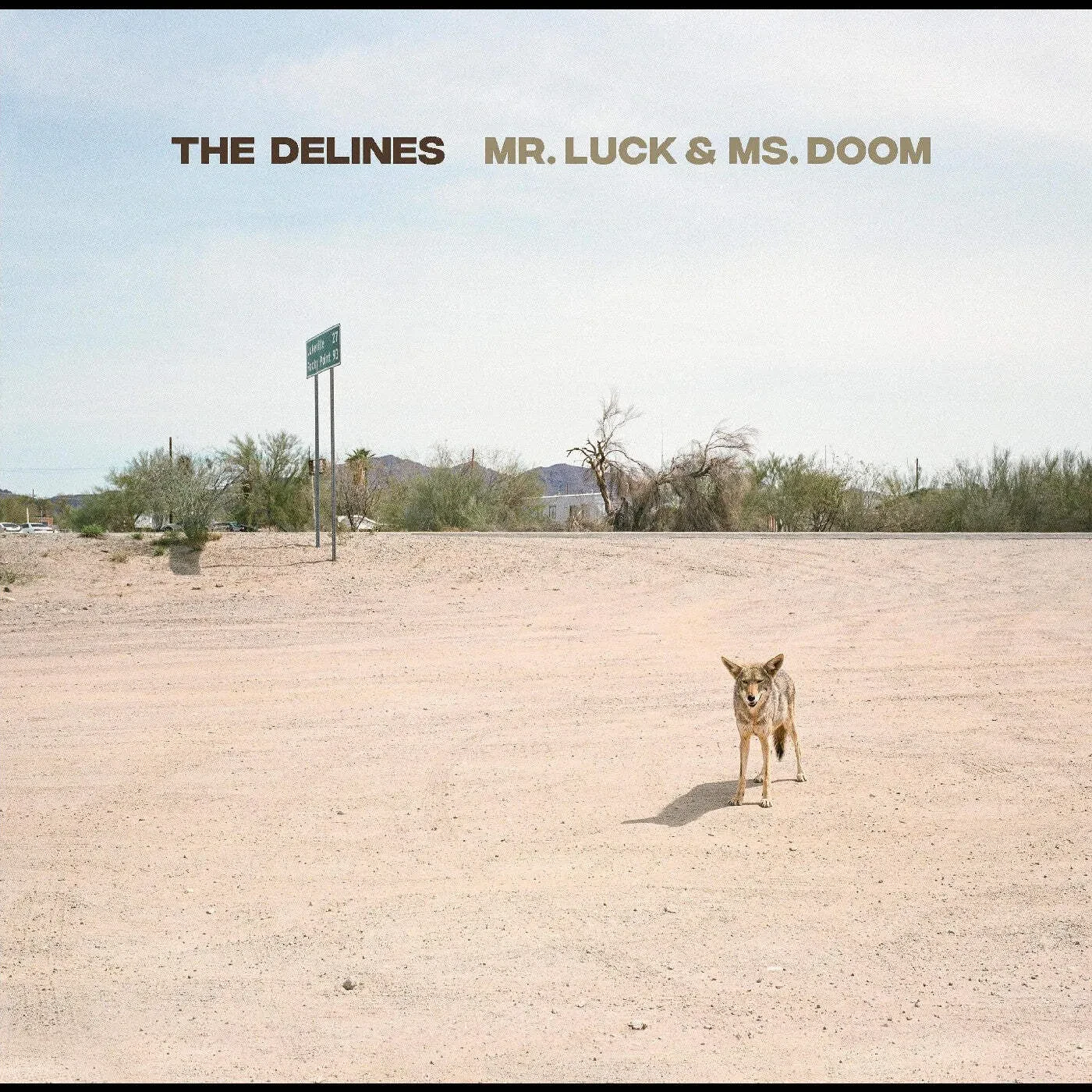 Виниловая пластинка The Delines – Mr. Luck & Ms. Doom (Релиз 2025)