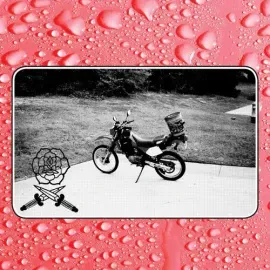 Виниловая пластинка Bass Drum of Death - Say I Won't [New Vinyl LP] Colored Vinyl, Ivory