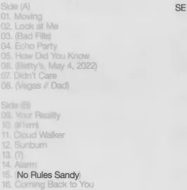 Виниловая пластинка Sylvan Esso – No Rules Sandy (Релиз 2022) Sealed