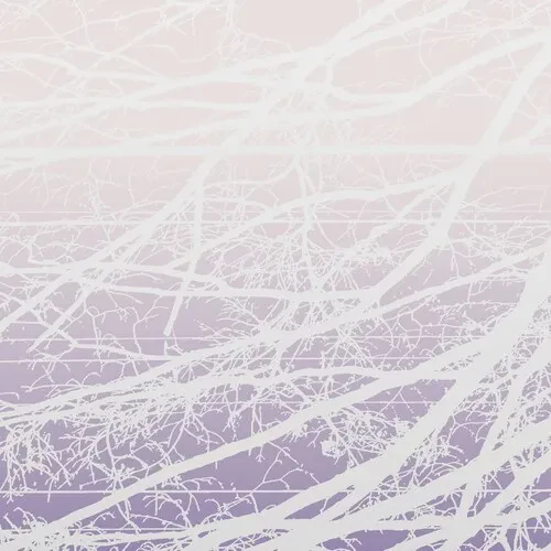 Виниловая пластинка Lea Bertucci - Metal Aether / Resonant Field [New Vinyl LP]