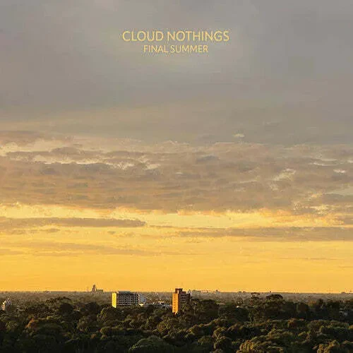 Виниловая пластинка Cloud Nothings – Final Summer (Релиз 2024)