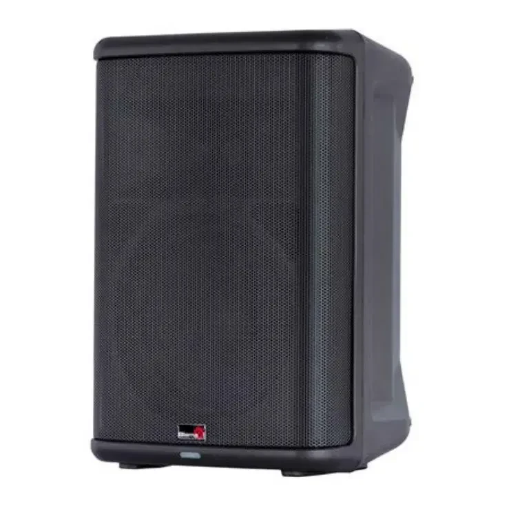 Активная переносная акустическая система Biema X-3