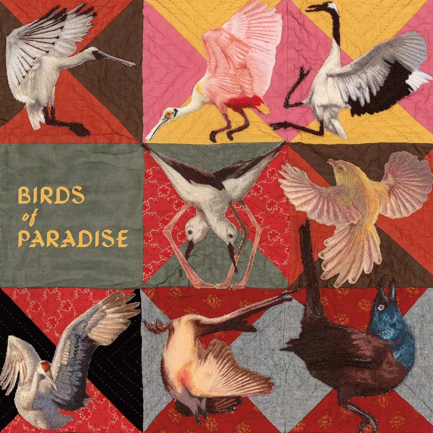 Thomas Dollbaum - Birds of Paradise NEW Vinyl