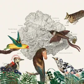 Виниловая пластинка Friendly Rich – The Birds of Marsville (Релиз 2025)