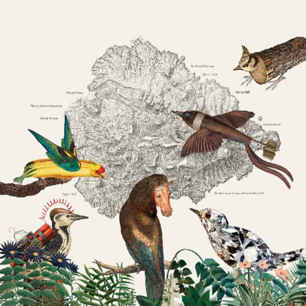 Виниловая пластинка Friendly Rich – The Birds of Marsville (Релиз 2025)