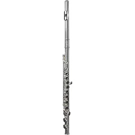 Флейта Di Zhao DZ 301 Student Flute/Closed Hole/Y-Arms/Offset G C-Foot