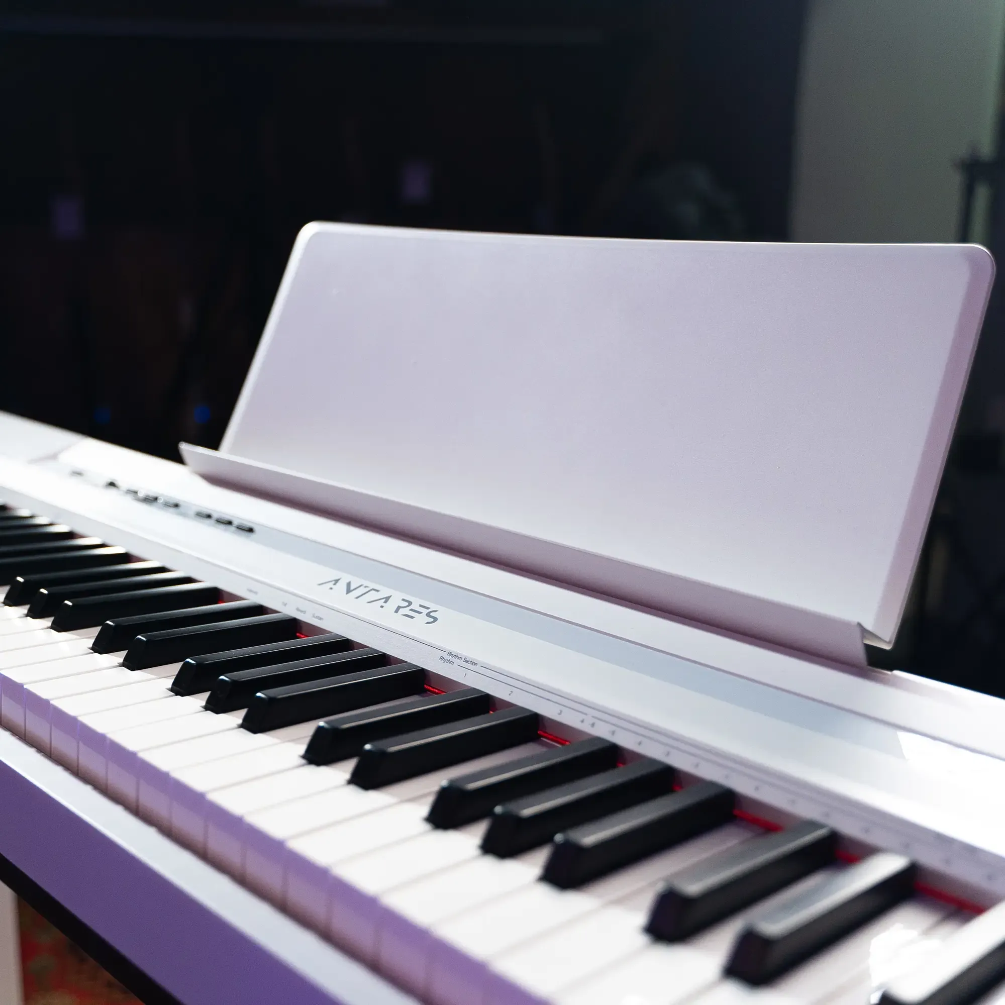 Изображение №10