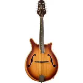 Электроакустическая мандолина Mitchell DM200E Double Cut, California Gold