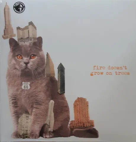 Виниловая пластинка The Brian Jonestown Massacre – Fire Doesn’t Grow on Trees