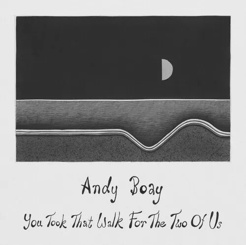 Виниловая пластинка Andy Boay - You Took That Walk For The Two Of Us [New Vinyl LP]
