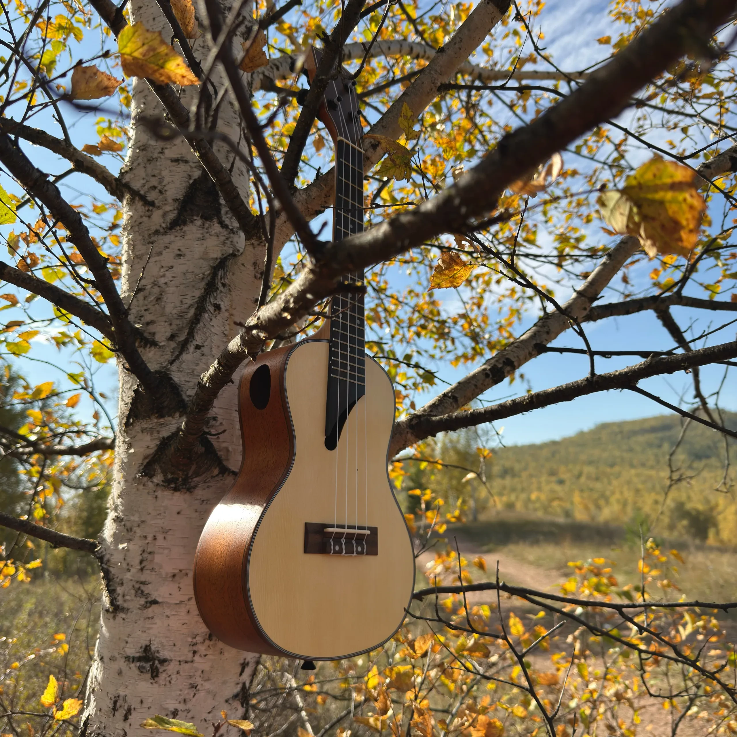 Изображение №8