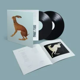 Виниловая пластинка Vashti Bunyan – Lookaftering (Expanded) (Релиз 2025) с буклетом