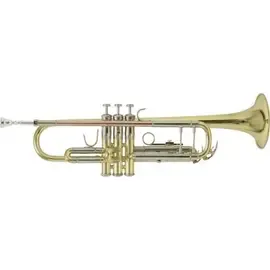 Труба Vincent Bach TR-501 Student Bb Gold