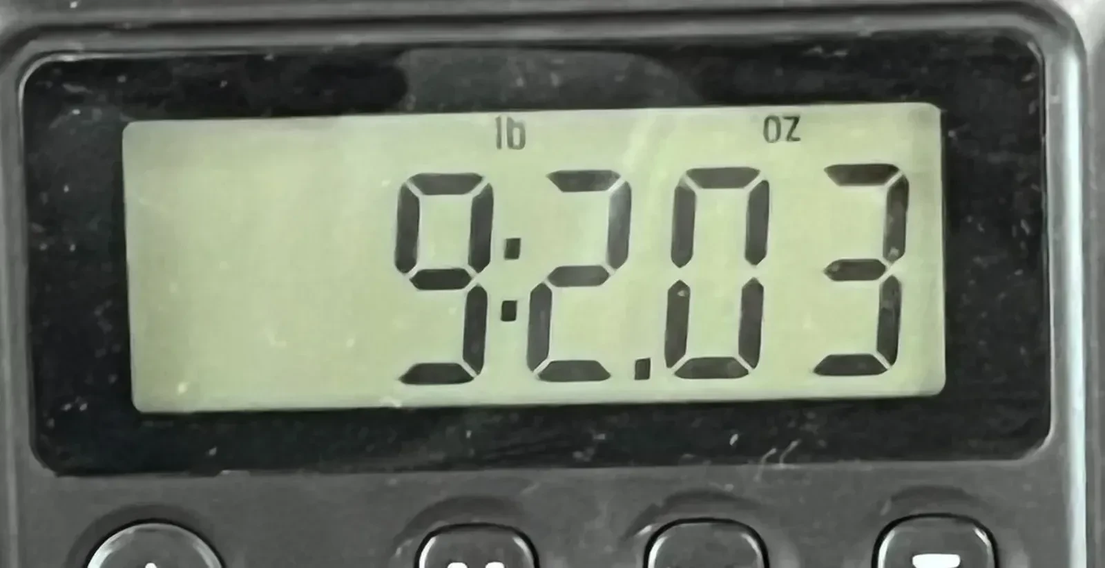 Изображение №10