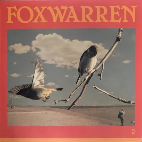 Виниловая пластинка Foxwarren – 2