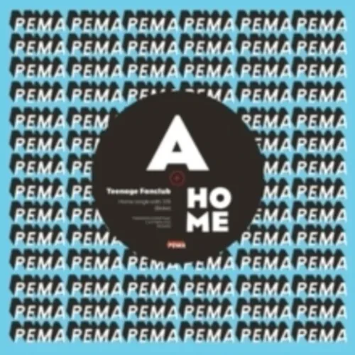 Виниловая пластинка Teenage Fanclub – Home / Everything Is Falling Apart 7" (Релиз 2021)