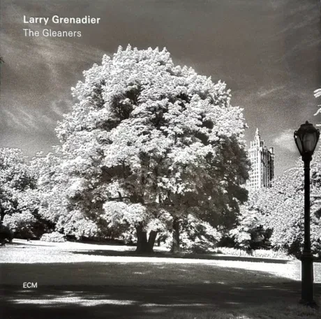 Виниловая пластинка Larry Grenadier – The Gleaners