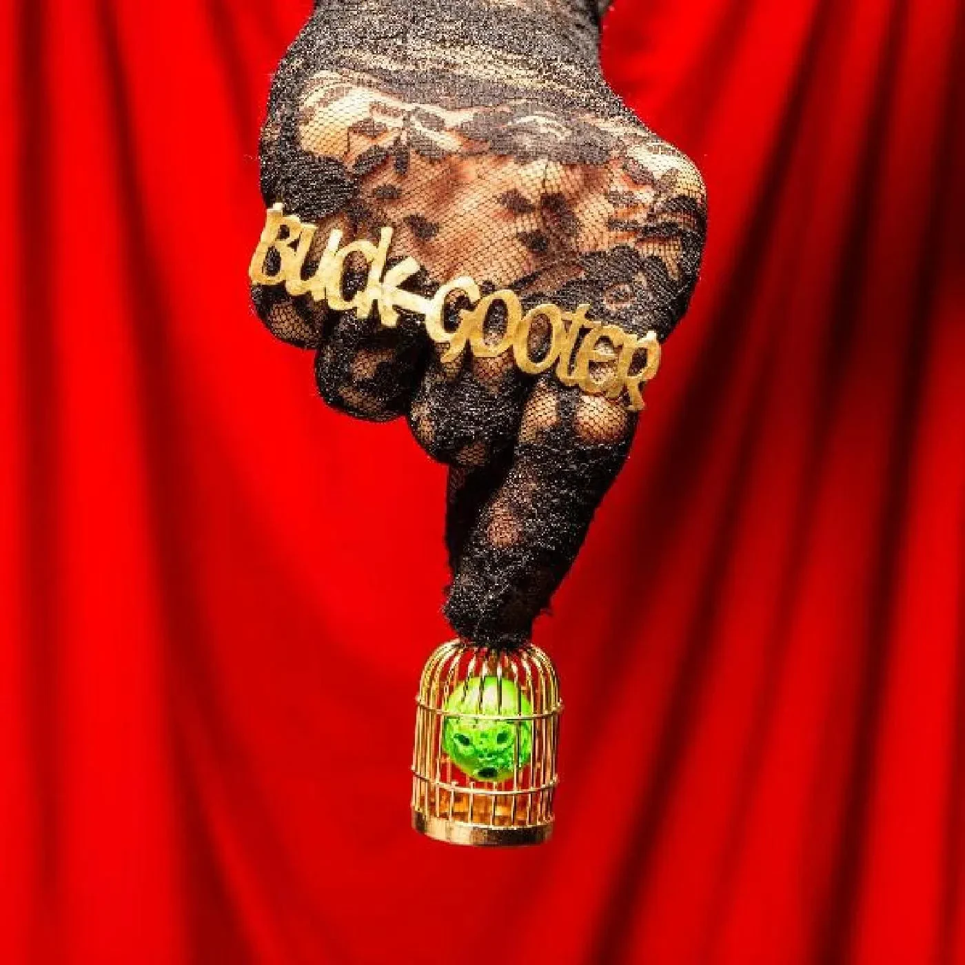 Виниловая пластинка Buck Gooter – Head In A Bird Cage (Релиз 2021) Sealed