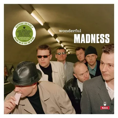 Виниловая пластинка MADNESS – Wonderful