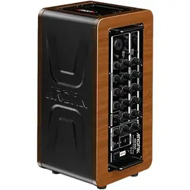 Комбоусилитель для акустической гитары Aroma AG-60A 2x5 60W