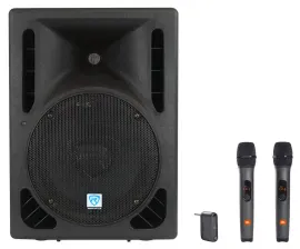 Rockville RPG10BT V2 10" Powered 600w DJ PA Speaker w/Bluetooth+(2) JBL Mics