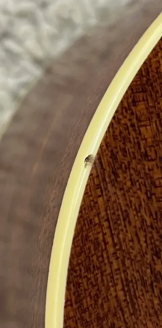 Изображение №8