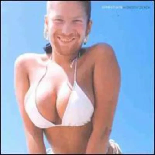 Виниловая пластинка Aphex Twin – Windowlicker