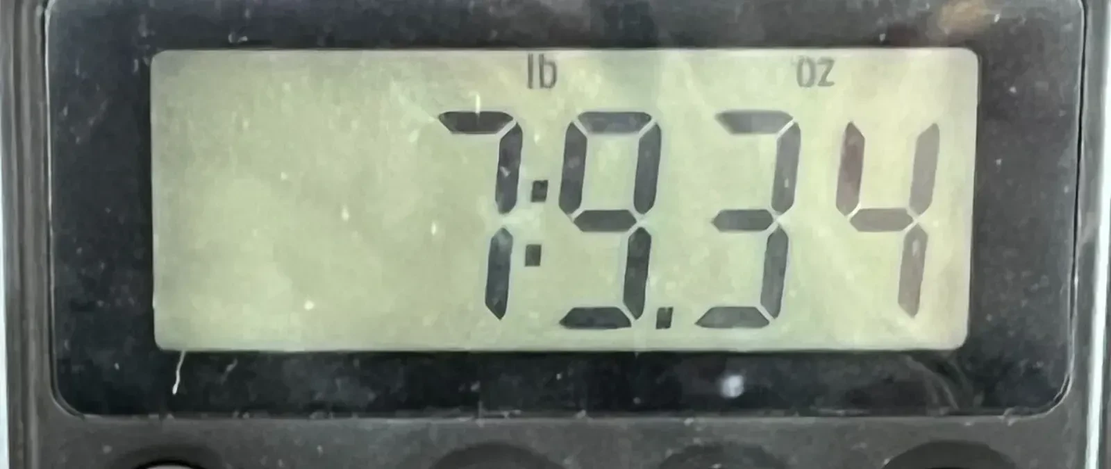 Изображение №9