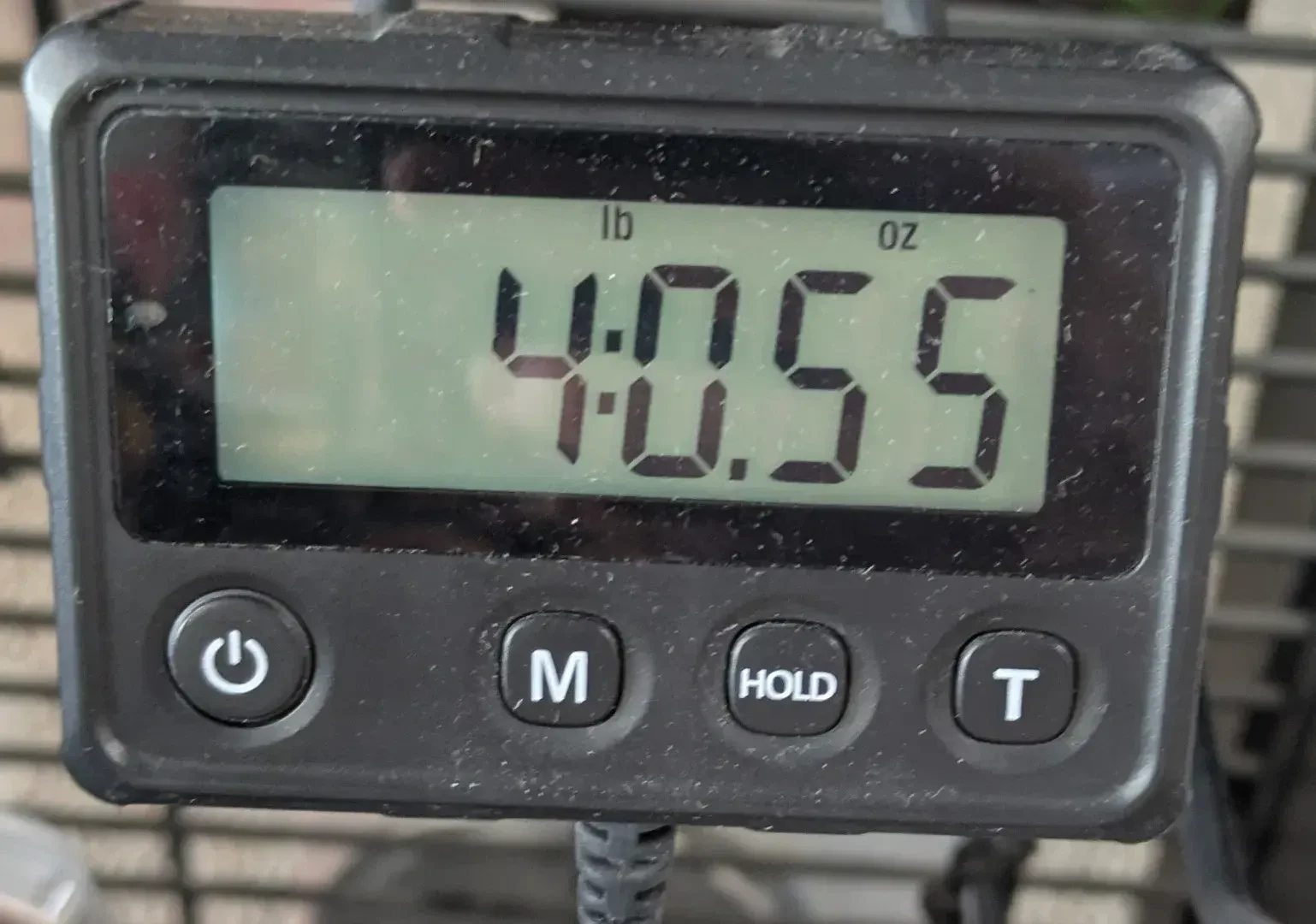 Изображение №8