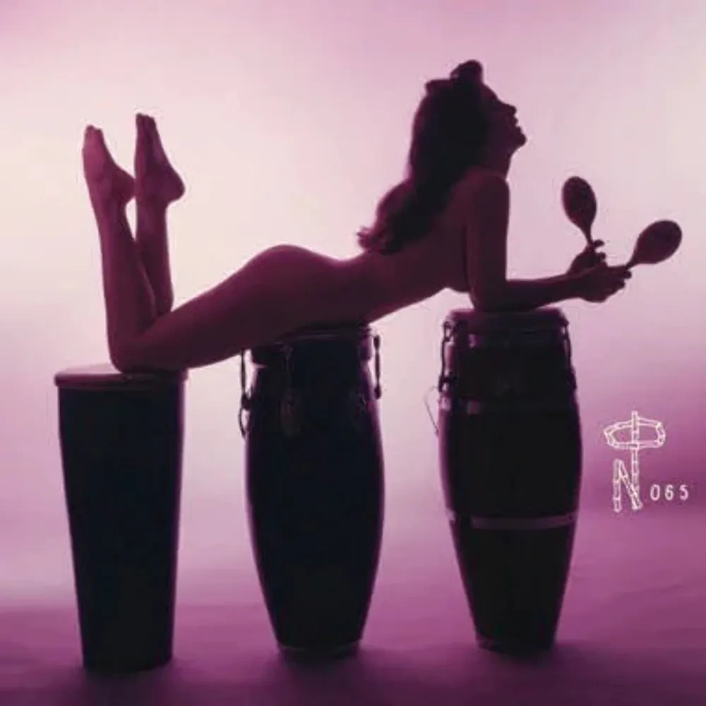 Виниловая пластинка Various Artists – Technicolor Paradise: Rhum Rhapsodies & Other Exotic Delights (релиз 2018)