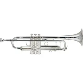 Труба Vincent Bach 190S37 Stradivarius Series 50th Anniversary Bb Trumpet Silver