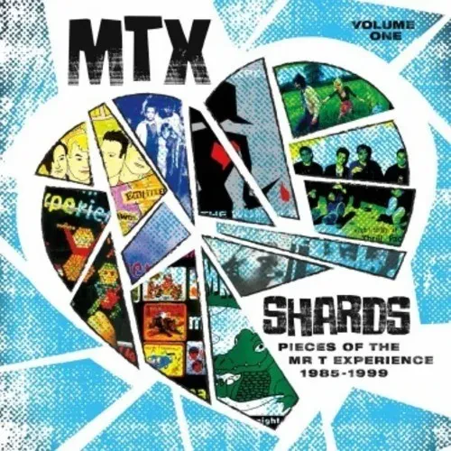 Виниловая пластинка Mr T Experience – Shards Vol. 1 (Релиз 2018)