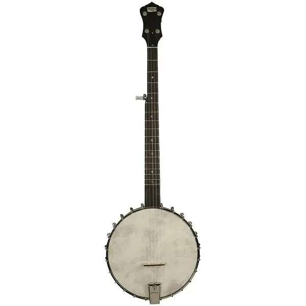 Банджо Recording King OT25 Madison Old-Time Banjo