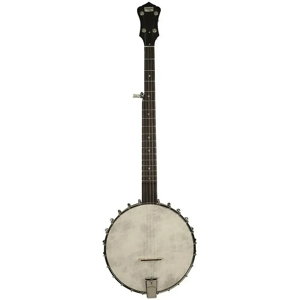 Банджо Recording King OT25 Madison Old-Time Banjo