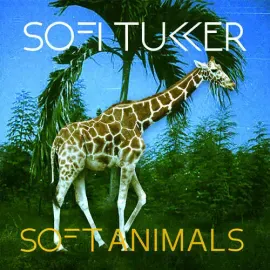 Виниловая пластинка Sofi Tukker – Soft Animals (Релиз 2024)