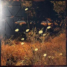 Виниловая пластинка Szun Waves – Earth Patterns